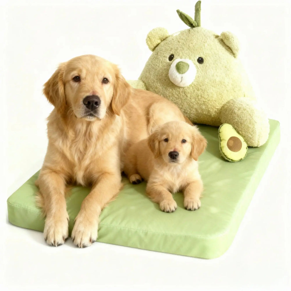Avocado Sofa Dog Bed for Small Dogs, Cute Pet Bed Round Washable Plush Bed.