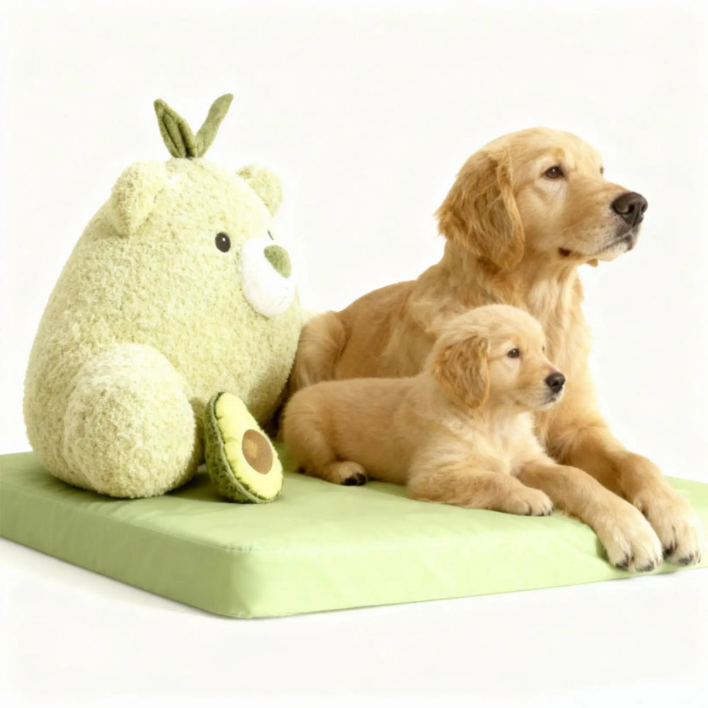 Avocado Sofa Dog Bed for Small Dogs, Cute Pet Bed Round Washable Plush Bed.