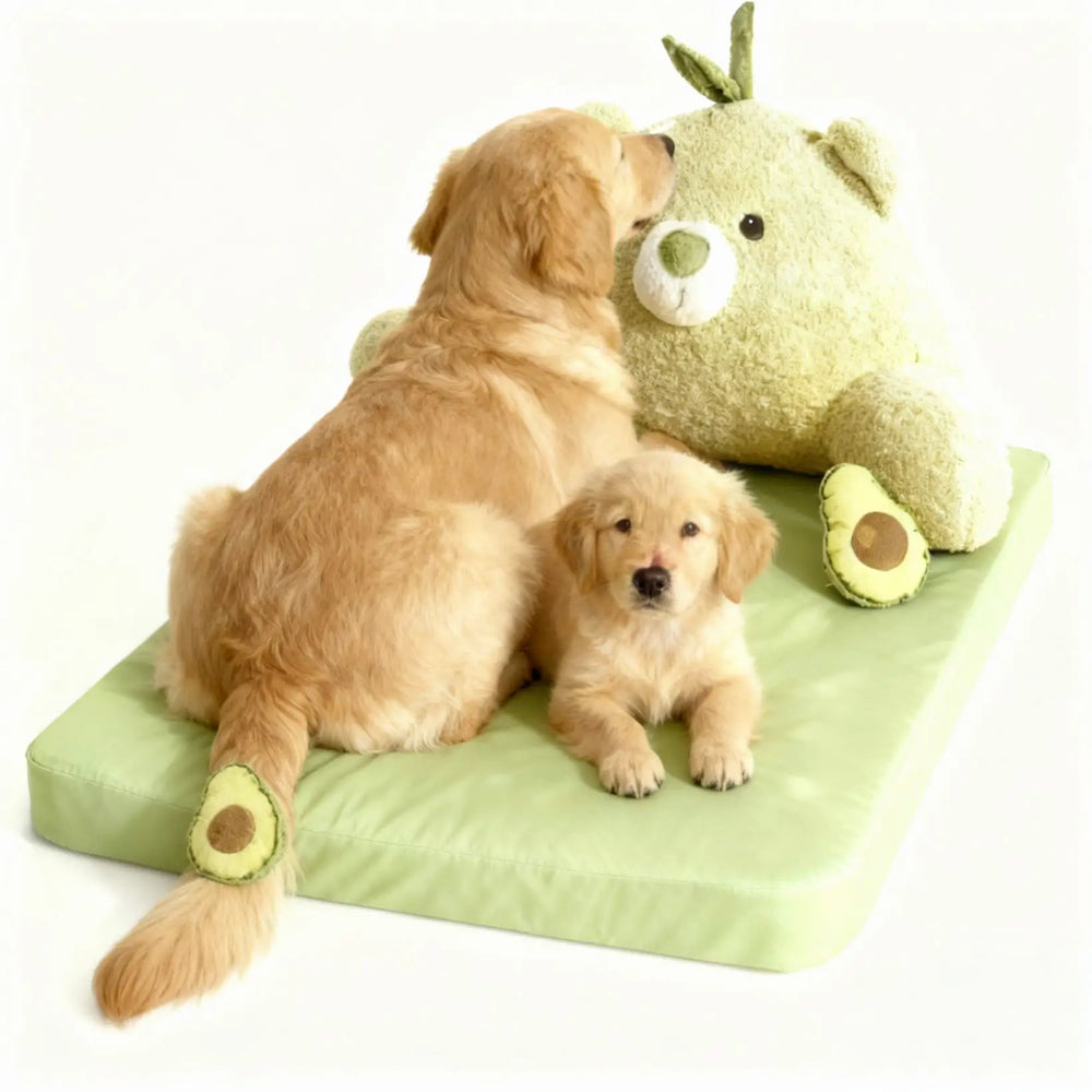 Avocado Sofa Dog Bed for Small Dogs, Cute Pet Bed Round Washable Plush Bed.