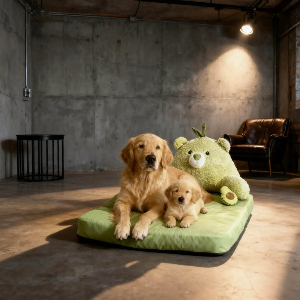 Avocado Sofa Dog Bed for Small Dogs, Cute Pet Bed Round Washable Plush Bed.