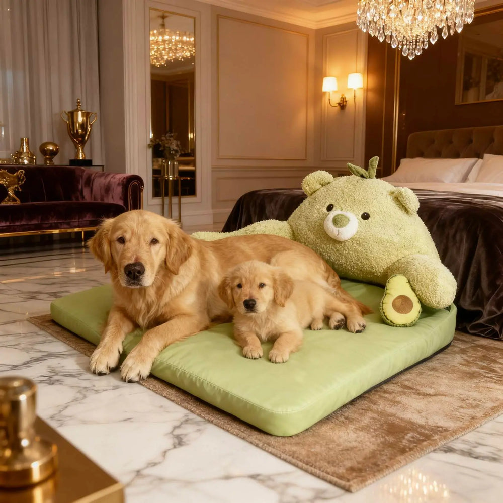 Avocado Sofa Dog Bed for Small Dogs, Cute Pet Bed Round Washable Plush Bed.