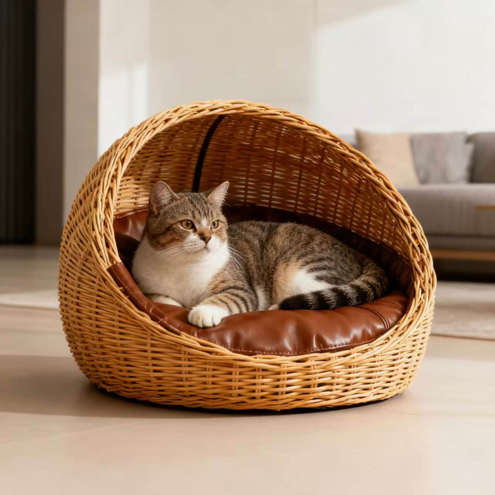 Ready-Made Design Cat Beds (In-Stock Styles / Fast Production)