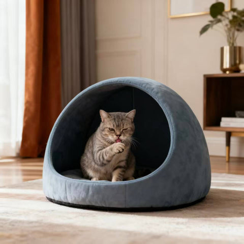 Ready-Made Design Cat Beds (In-Stock Styles / Fast Production)