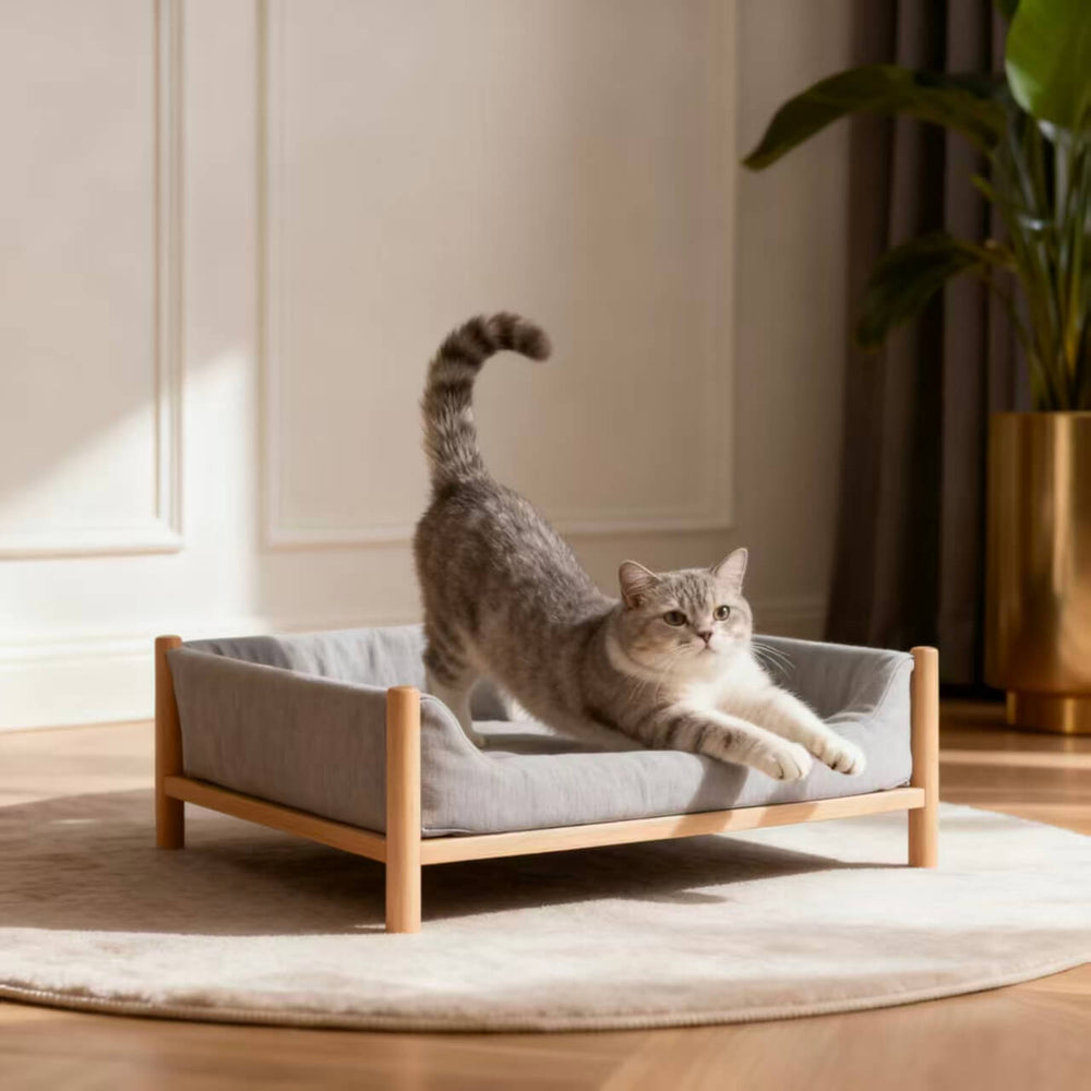 Ready-Made Design Cat Beds (In-Stock Styles / Fast Production)