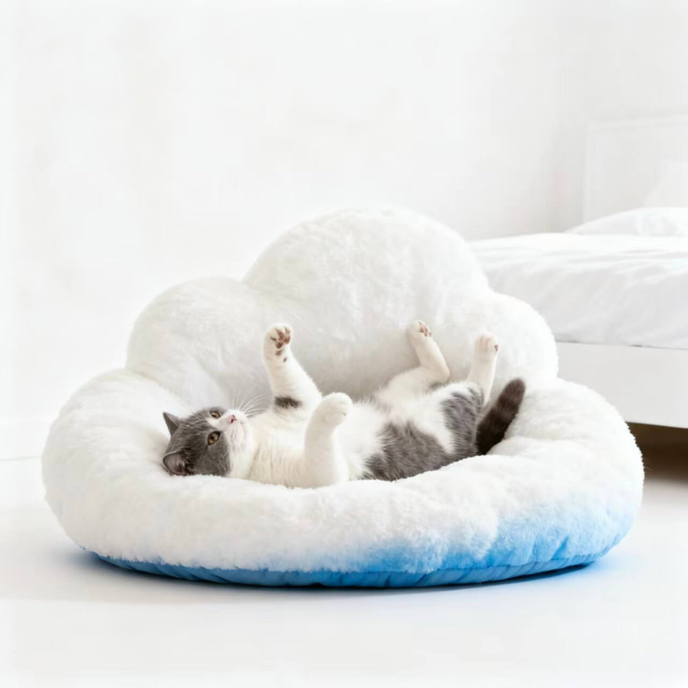 Ready-Made Design Cat Beds (In-Stock Styles / Fast Production)