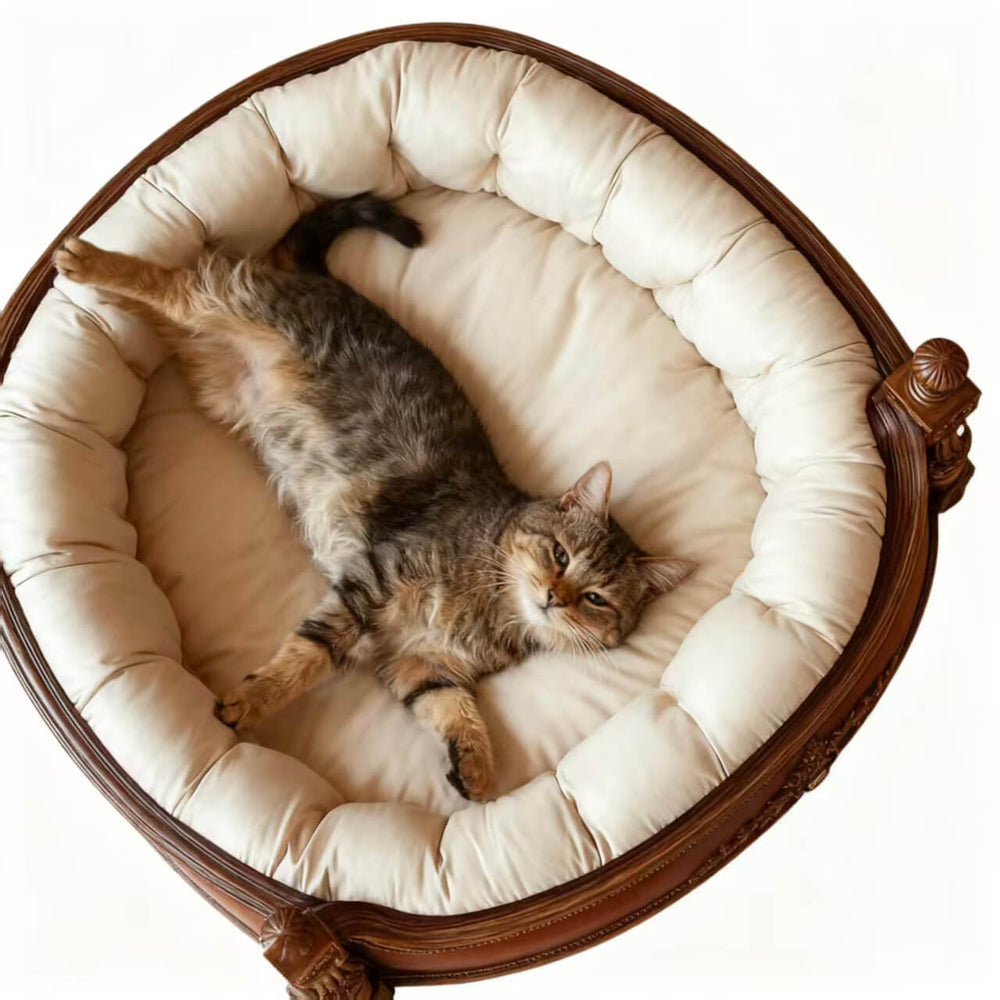 Ready-Made Design Cat Beds (In-Stock Styles / Fast Production)