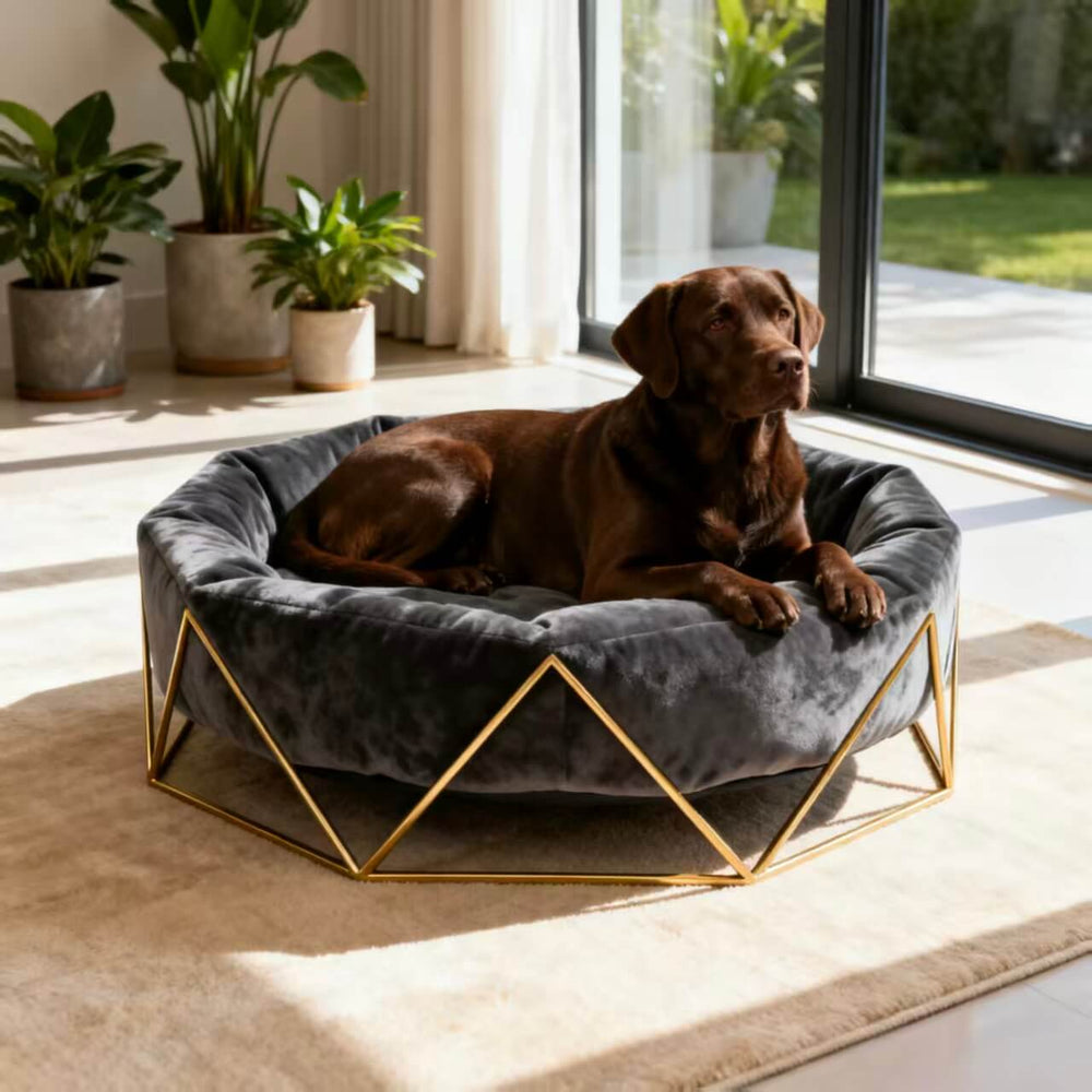 Handcrafted Custom Dog Bed – Your Pup’s Very Own Luxury Fortress