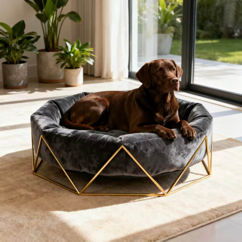 Handcrafted Custom Dog Bed – Your Pup’s Very Own Luxury Fortress