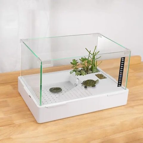 BETAZOOER Small Glass Turtle Tank Habitat with Integrated Filtration System