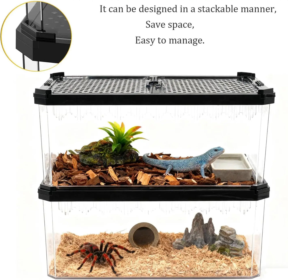 Crystal Clear Magnetic Reptile Terrarium for Spiders, Lizards, Tarantulas Habitat