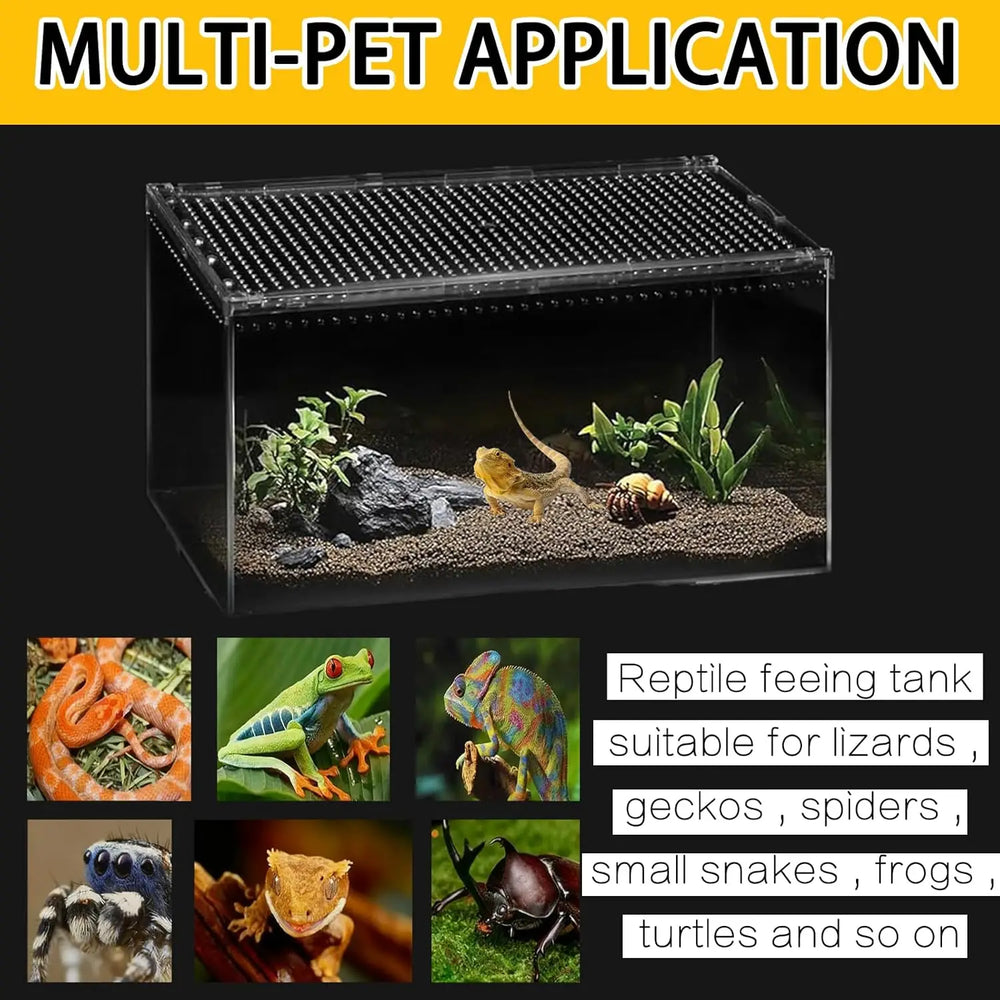 Clear Acrylic Ventilated Reptile Terrarium Starter Kit for Lizards & Invertebrates