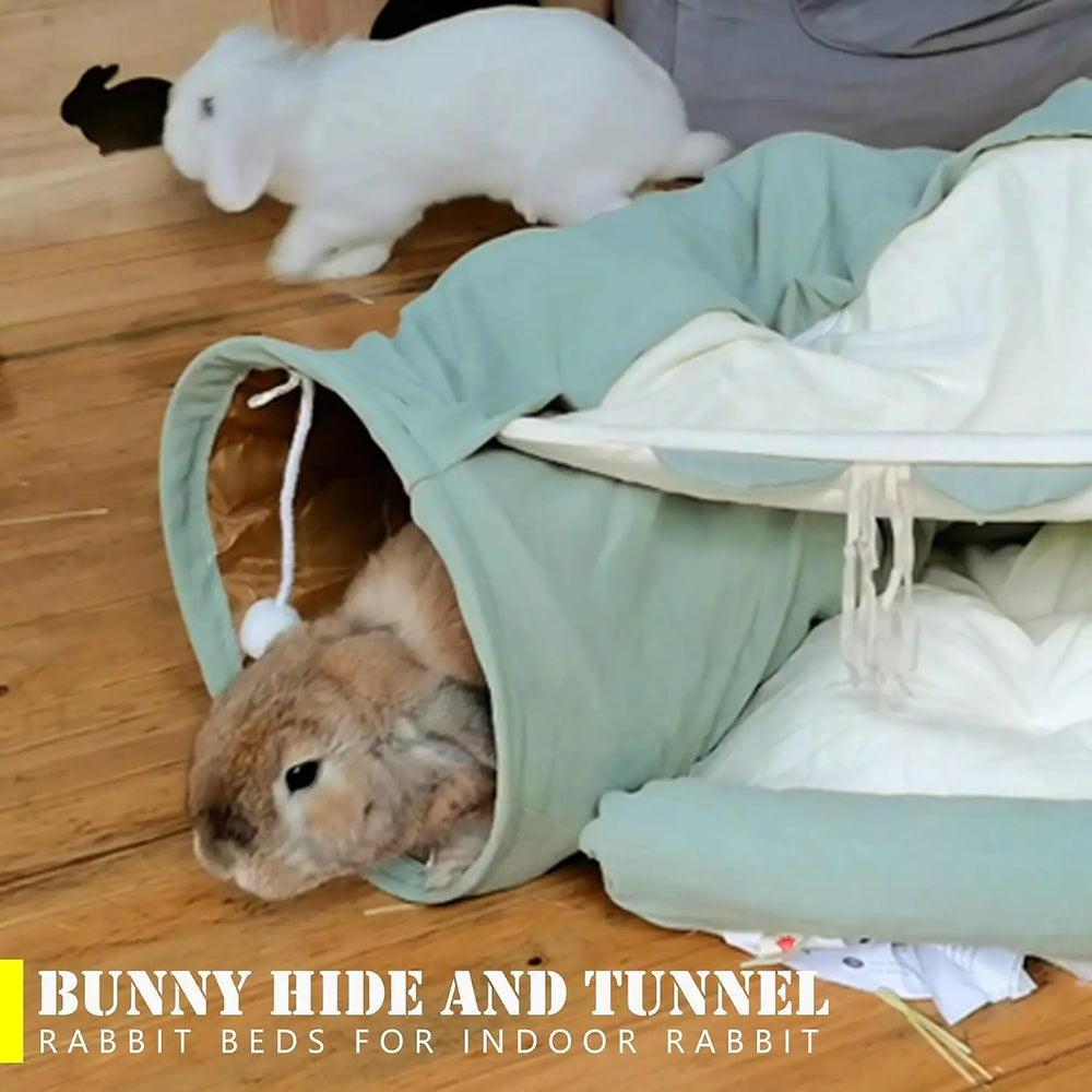 Matcha 2-in-1 Collapsible Cat Tunnel Bed & Play Tube with Removable Mat