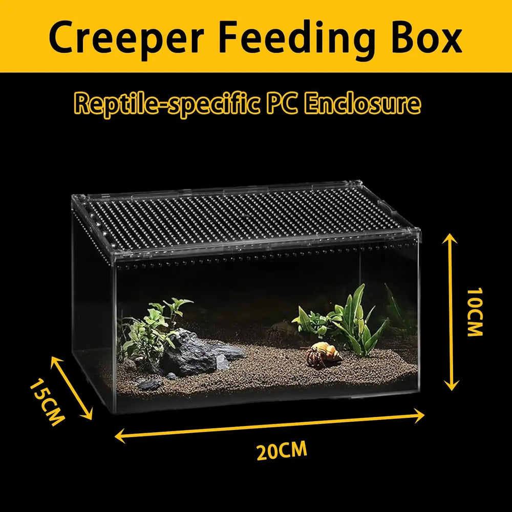 Clear Acrylic Ventilated Reptile Terrarium Starter Kit for Lizards & Invertebrates