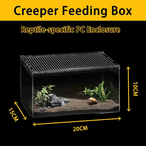 Clear Acrylic Ventilated Reptile Terrarium Starter Kit for Lizards & Invertebrates