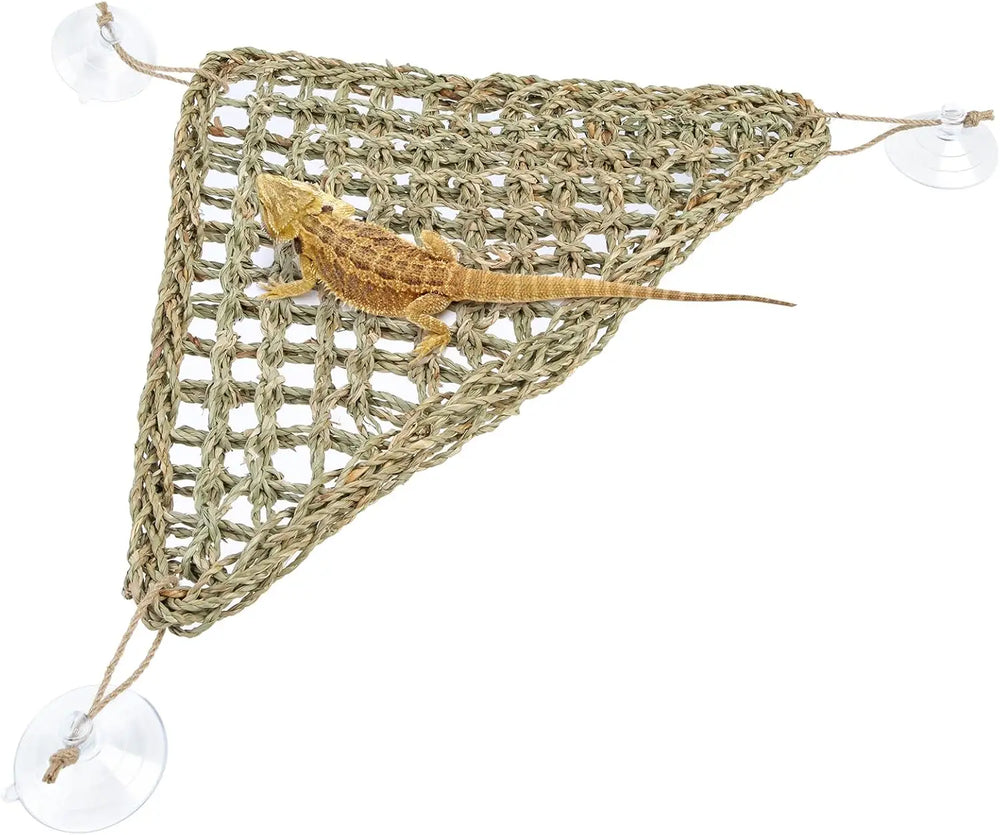 Niteangel Sturdy Seaweed Reptile Hammock Lounger for Bearded Dragons and Lizards