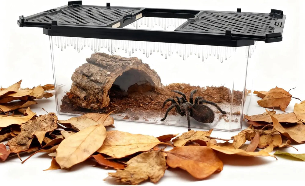 Crystal Clear Magnetic Reptile Terrarium for Spiders, Lizards, Tarantulas Habitat