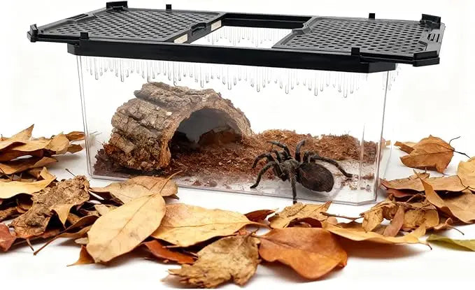 Crystal Clear Magnetic Reptile Terrarium for Spiders, Lizards, Tarantulas Habitat