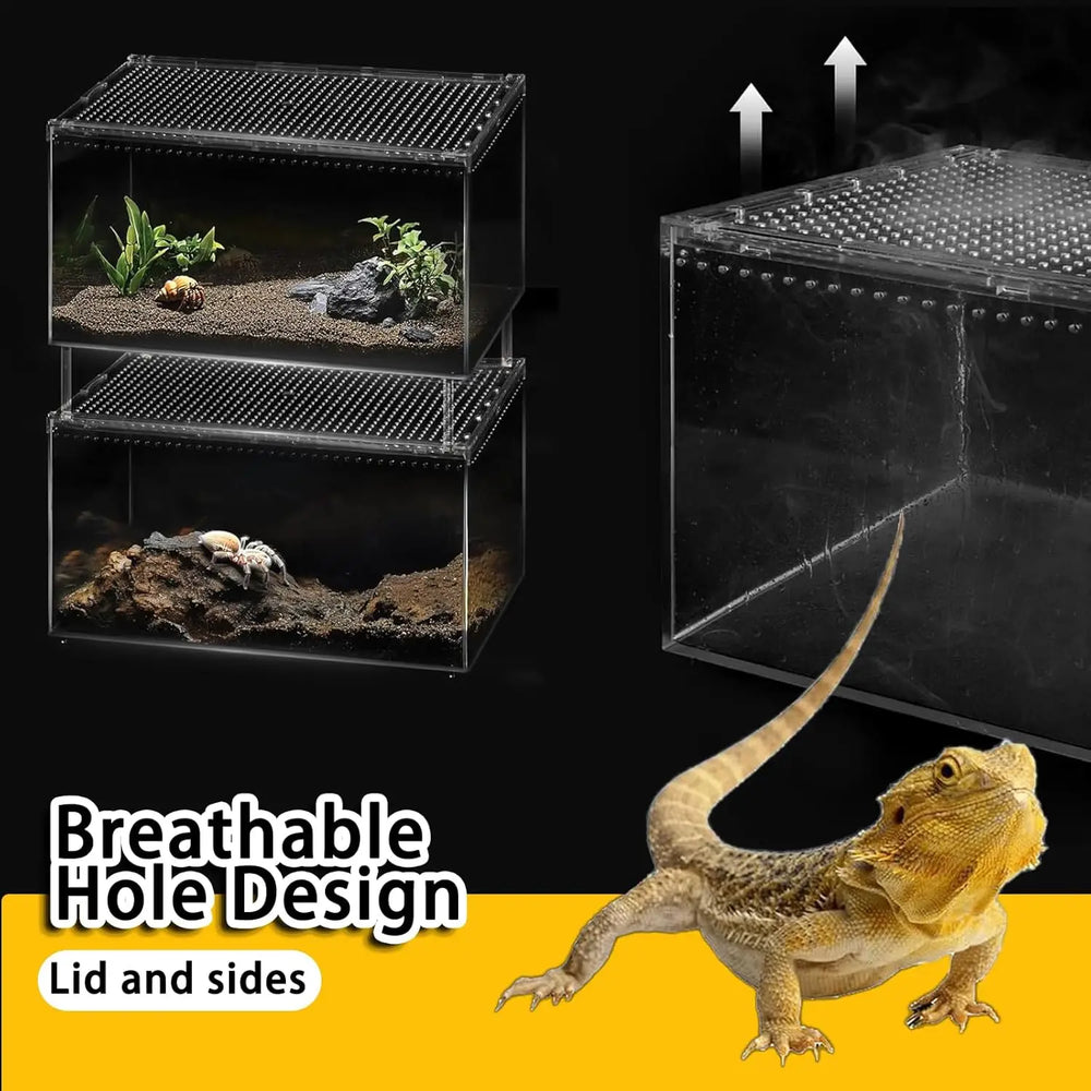 Clear Acrylic Ventilated Reptile Terrarium Starter Kit for Lizards & Invertebrates