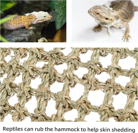 Niteangel Sturdy Seaweed Reptile Hammock Lounger for Bearded Dragons and Lizards