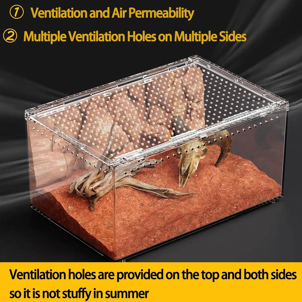 Clear Acrylic Ventilated Reptile Terrarium Starter Kit for Lizards & Invertebrates