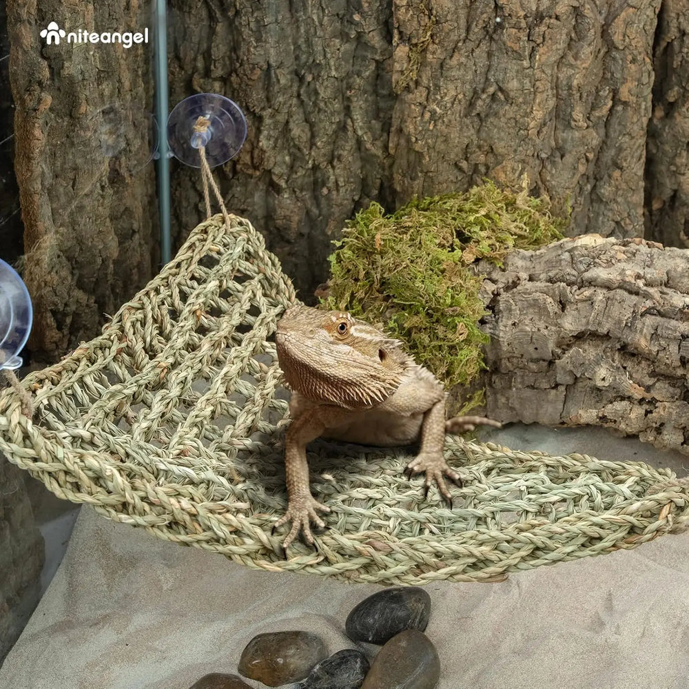 Niteangel Sturdy Seaweed Reptile Hammock Lounger for Bearded Dragons and Lizards