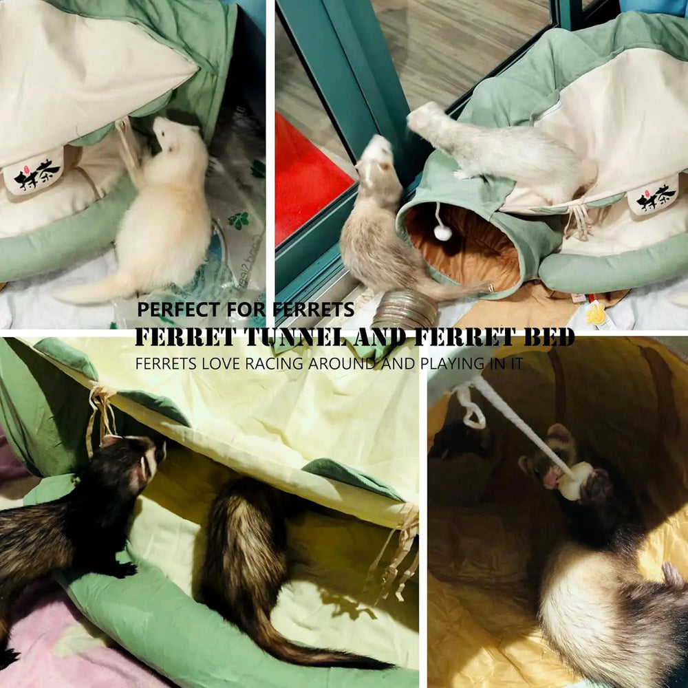 Matcha 2-in-1 Collapsible Cat Tunnel Bed & Play Tube with Removable Mat