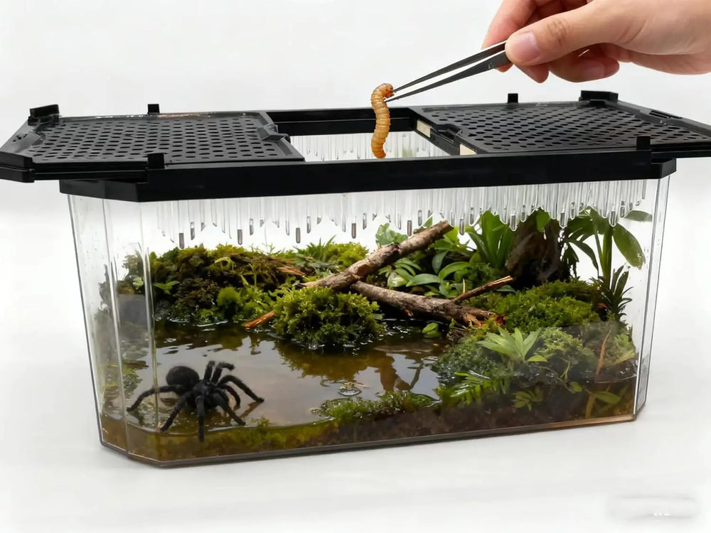 Crystal Clear Magnetic Reptile Terrarium for Spiders, Lizards, Tarantulas Habitat