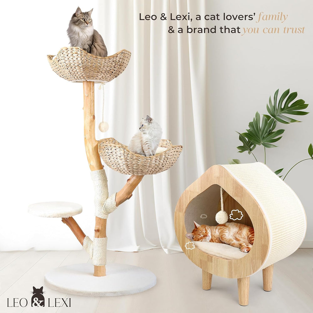 Modern Cat Bed with Scratching Wall, Cozy Cave Hideout for Indoor Cats