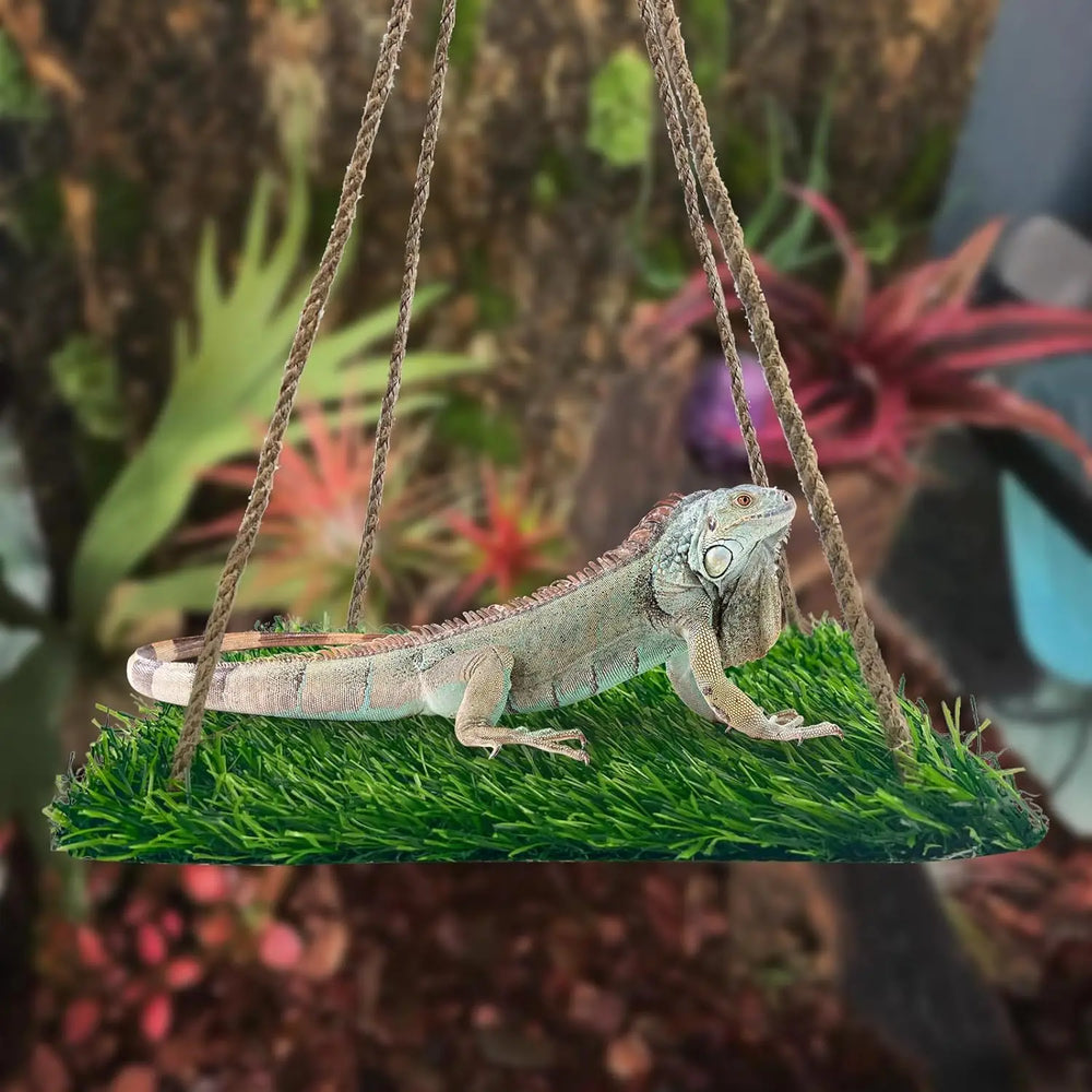 FlidRunest Large Green Soft Hammock for Bearded Dragons, Lizards & Reptiles