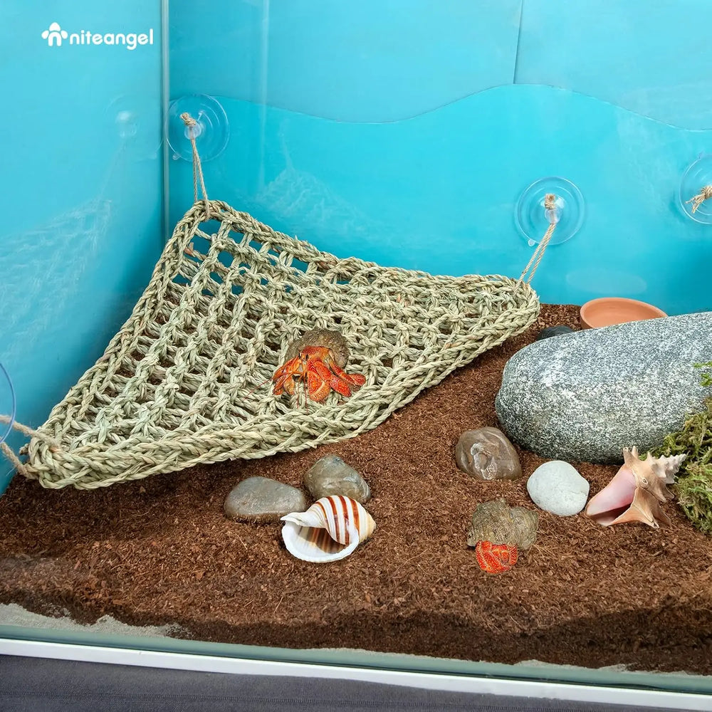 Niteangel Sturdy Seaweed Reptile Hammock Lounger for Bearded Dragons and Lizards