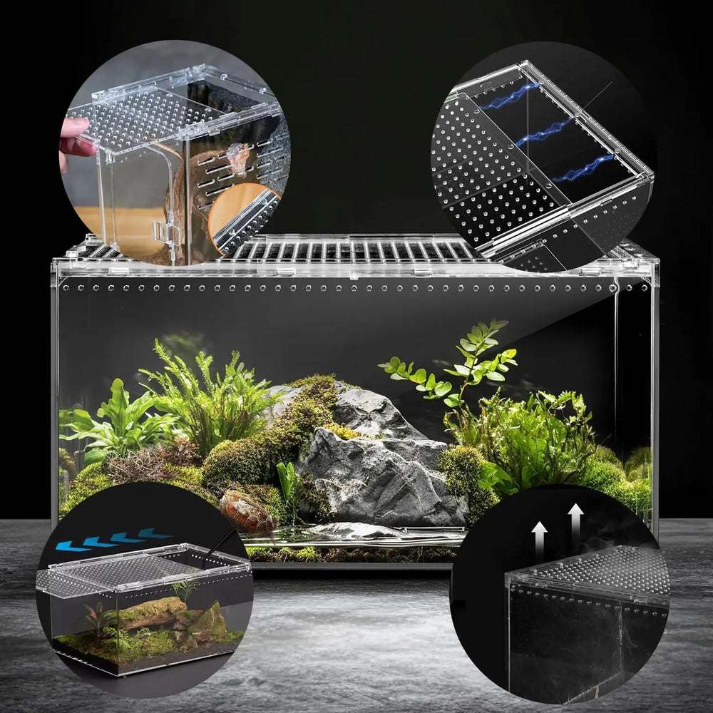 Clear Acrylic Ventilated Reptile Terrarium Starter Kit for Lizards & Invertebrates
