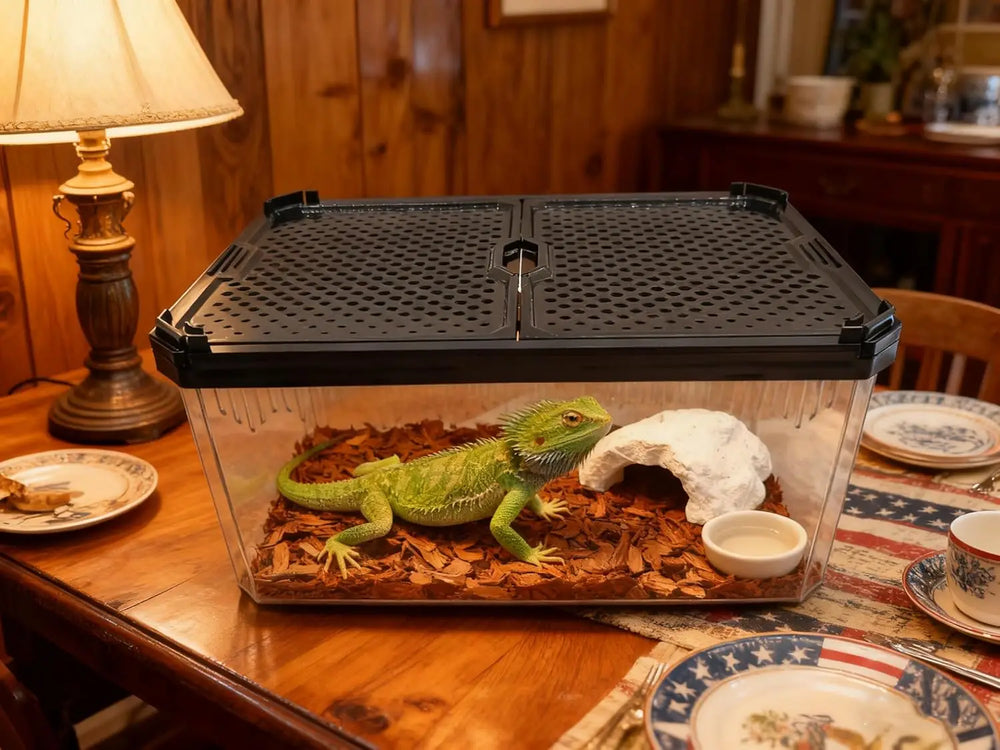 Crystal Clear Magnetic Reptile Terrarium for Spiders, Lizards, Tarantulas Habitat