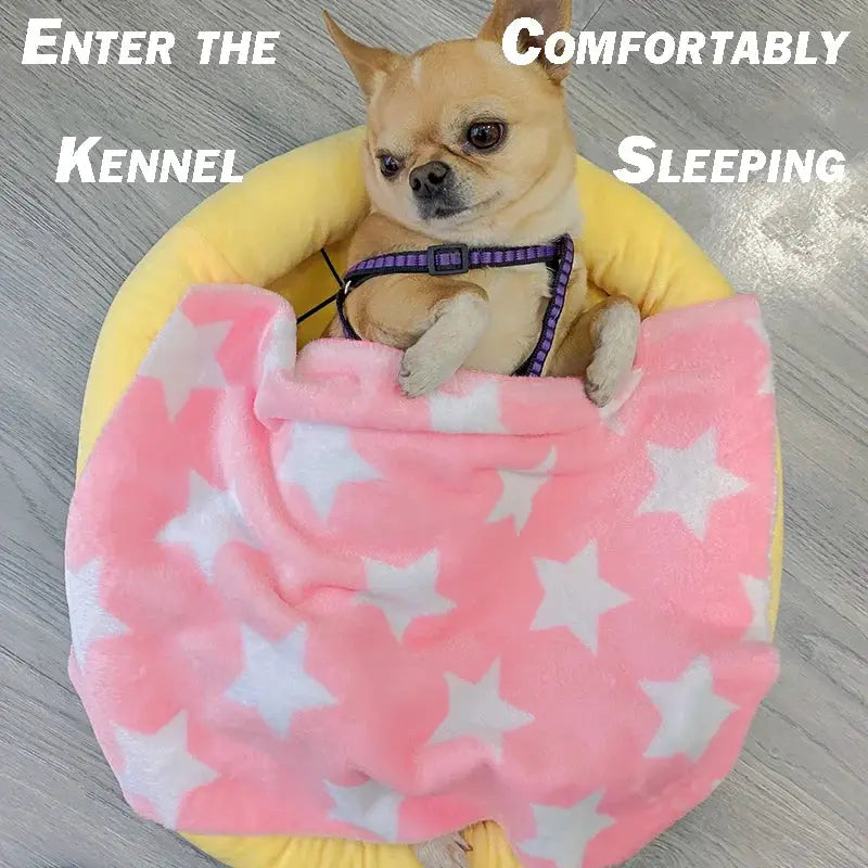 HiCoDo Adorable Fruit Pattern Pet Mat – Breathable Dog Mattress & Cat Bed